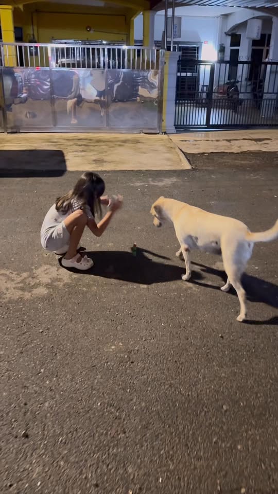 1M views · 21K reactions | vt lanjutan smlm, anabul minta mainkan mercun | Susie Kinnezia